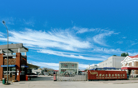 日韩人妻无码精品-专区