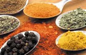 日韩人妻无码精品-专区