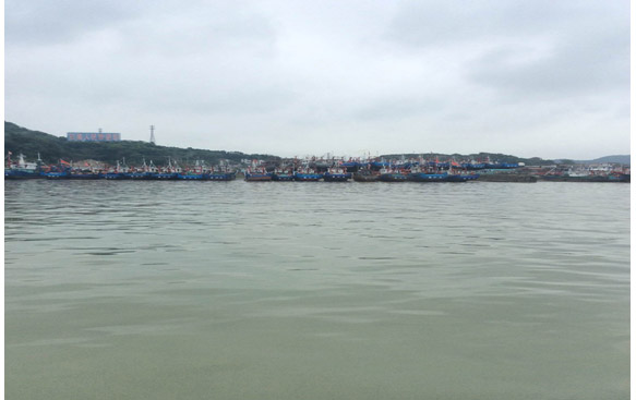 日韩人妻无码精品-专区