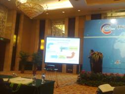 日韩人妻无码精品-专区