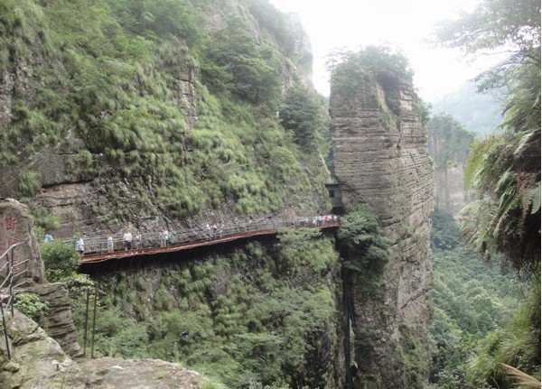 日韩人妻无码精品-专区