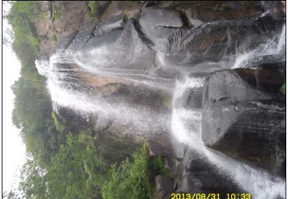 日韩人妻无码精品-专区