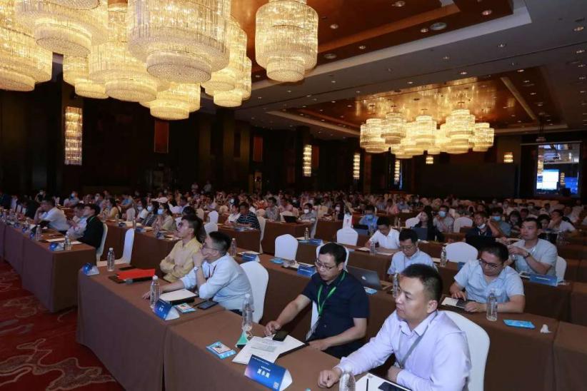 日韩人妻无码精品-专区